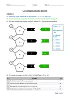 Vorschau - Arbeitsblätter - LK Grundlagen Genetik (inkl. Lösungen) - Seite 2