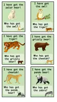 Vorschau - Spiele - Lesespiel wild animals - Seite 3