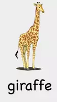 Vorschau - Arbeitsblätter - Writing a text - my favourite wild animal - Seite 1