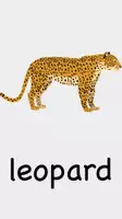 Vorschau - Arbeitsblätter - Writing a text - my favourite wild animal - Seite 2