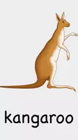 Vorschau - Arbeitsblätter - Writing a text - my favourite wild animal - Seite 3