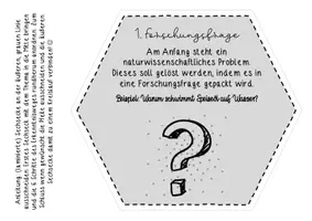 Vorschau - Poster - Dekoration für den Bioraum! - Seite 2