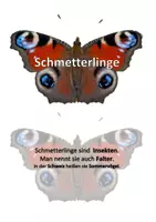 Vorschau - Text - Schmetterlingsbüchlein - Deckblatt