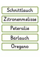 Vorschau - Spiele - Kräutermaterial - Seite 2