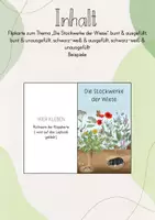 Vorschau - Unterrichtsreihen - Lapbook: Die Wiese/ Der Lebensraum Wiese - Seite 2