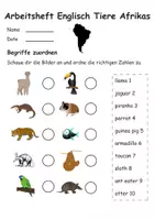Vorschau - Stundenentwürfe - Arbeitsheft Tiere Südamerikas Englisch - Arbeitsblätter inkl. Mini-Buch - Seite 2