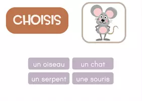 Aperçu - Apprentissages en autonomie - BOOM CARDS | Les Animaux | SET 2 - Page 1