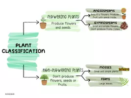 Vista previa - Presentaciones - PLANT CLASSIFICATION DIAGRAM - Portada