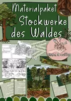 Vorschau - Stundenentwürfe - Stockwerke des Waldes Materialpaket - Flipbook, Tafelmaterial, Texte & Poster - Deckblatt