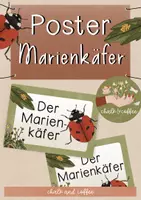 Vorschau - Poster - Poster Marienkäfer - Reihenposter kostenlos downloaden - Klassenzimmer Deko Marienkäfer - Deckblatt