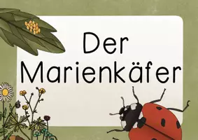 Vorschau - Poster - Poster Marienkäfer - Reihenposter kostenlos downloaden - Klassenzimmer Deko Marienkäfer - Seite 2