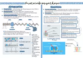 Vorschau - Präsentationen/Tafelbilder - Abivorbereitung Proteinbiosynthese & genetischer Code - Deckblatt