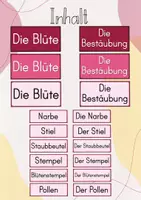 Vorschau - Stundenentwürfe - Tafelbild/ Legebild: Die Bestäubung durch Bienen - Seite 1
