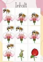 Vorschau - Stundenentwürfe - Tafelbild/ Legebild: Die Bestäubung durch Bienen - Seite 3