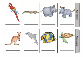 Vorschau - Arbeitsblätter - Leporello: At the Zoo – Vokabeln & Phrasen für den Englischunterricht - Seite 2