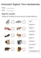 Vorschau - Stundenentwürfe - Arbeitsheft Tiere Nordamerikas Englisch - Arbeitsblätter inkl. Mini-Buch - Seite 1