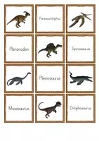 Vorschau - Unterrichtsreihen - Dinosaurier - Merk es dir - Seite 2
