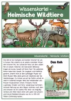 Vorschau - Arbeitsblätter - Wissenskartei - Heimische Wild- und Waldtiere - Seite 1