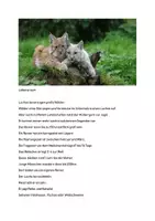 Vorschau - Arbeitsblätter - Der Luchs leichte Sprache - Seite 1