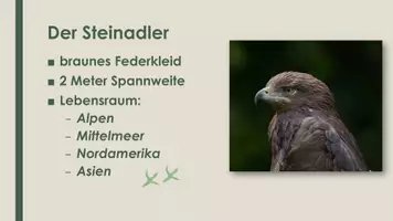 Vorschau - Präsentationen/Tafelbilder - Der Adler (Präsentation und H5P) - Seite 3