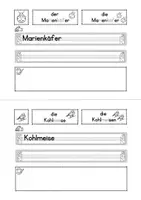 Vorschau - Arbeitsblätter - Tiere im Frühling - Gesamtpaket - Seite 3