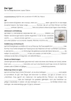 Vorschau - Arbeitsblätter - Der Igel (Materialpaket) - Seite 1