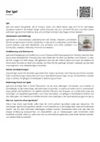 Vorschau - Arbeitsblätter - Der Igel - Arbeitsblatt (Infotext und Übungen) - Deckblatt