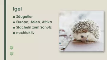 Vorschau - Präsentationen/Tafelbilder - Der Igel (Präsentation) - Seite 1