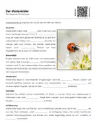 Vorschau - Arbeitsblätter - Der Marienkäfer (Materialpaket) - Seite 1