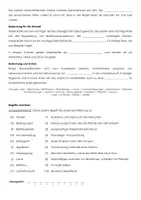 Vorschau - Arbeitsblätter - Der Marienkäfer (Materialpaket) - Seite 2