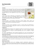 Vorschau - Arbeitsblätter - Der Marienkäfer - Arbeitsblatt (Infotext und Übungen) - Deckblatt