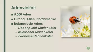 Vorschau - Präsentationen/Tafelbilder - Der Marienkäfer (Präsentation und H5P) - Seite 2