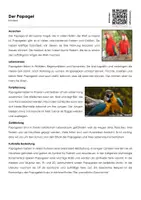 Vorschau - Arbeitsblätter - Der Papagei - Arbeitsblatt (Infotext und Übungen) - Deckblatt