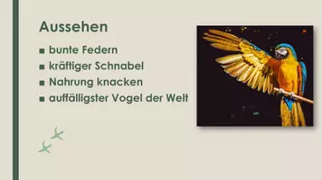 Vorschau - Präsentationen/Tafelbilder - Der Papagei (Präsentation und H5P) - Seite 1