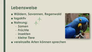 Vorschau - Präsentationen/Tafelbilder - Der Papagei (Präsentation und H5P) - Seite 2