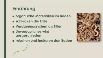 Vorschau - Präsentationen/Tafelbilder - Der Regenwurm (Präsentation und H5P) - Seite 3