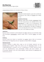 Vorschau - Arbeitsblätter - Die Eidechse - Arbeitsblatt mit Erklärvideo - Deckblatt