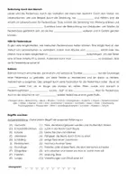Vorschau - Arbeitsblätter - Die Fledermaus (Materialpaket) - Seite 2