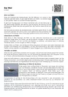 Vorschau - Arbeitsblätter - Der Wal - Arbeitsblatt (Infotext und Übungen) - Deckblatt