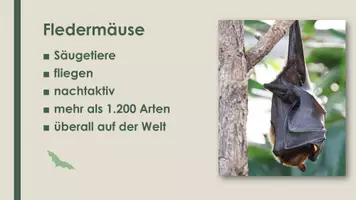 Vorschau - Präsentationen/Tafelbilder - Die Fledermaus (Präsentation und H5P) - Seite 1