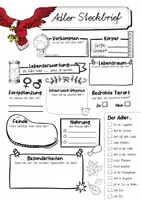Vorschau - Arbeitsblätter - Steckbrief Adler - Seite 1