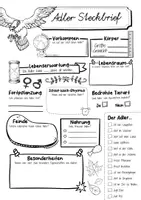 Vorschau - Arbeitsblätter - Steckbrief Adler - Seite 2