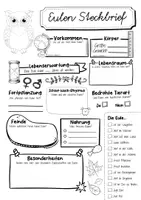 Vorschau - Arbeitsblätter - Steckbrief Eule - Seite 2
