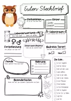 Vorschau - Arbeitsblätter - Steckbrief Eule - Seite 1