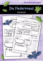 Vorschau - Arbeitsblätter - Steckbrief Fledermaus - Deckblatt