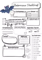 Vorschau - Arbeitsblätter - Steckbrief Fledermaus - Seite 1