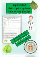 Vorschau - Experimente - Grüne Farbe in Blättern Experiment - Deckblatt
