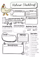 Vorschau - Arbeitsblätter - Hühner Steckbrief Huhn - Seite 1