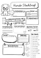 Vorschau - Arbeitsblätter - Steckbrief Hund - Seite 2