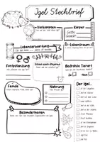 Vorschau - Arbeitsblätter - Steckbrief Igel - Seite 2